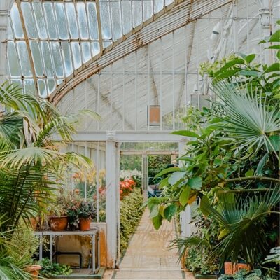 inside a plant green house with multiple plants on display